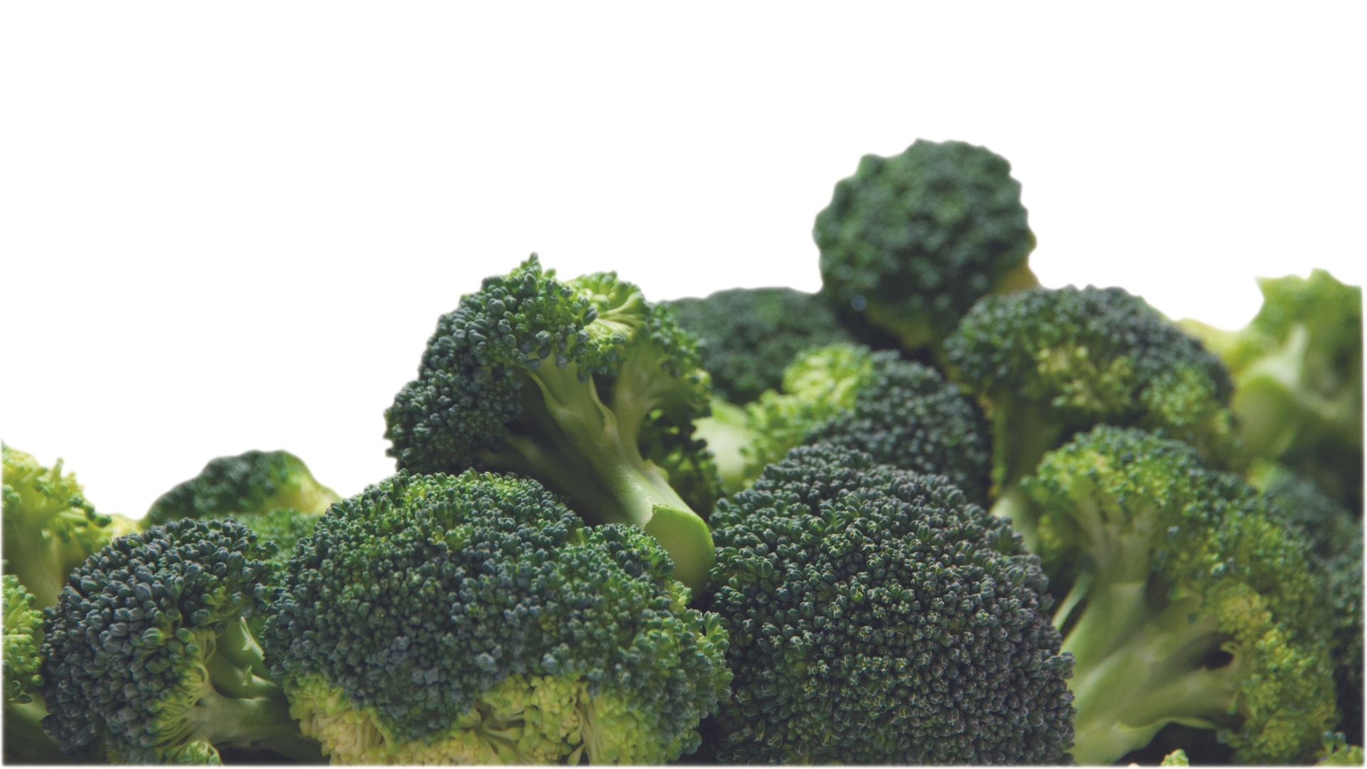 1018-BigCountry_BroccoliFlorets