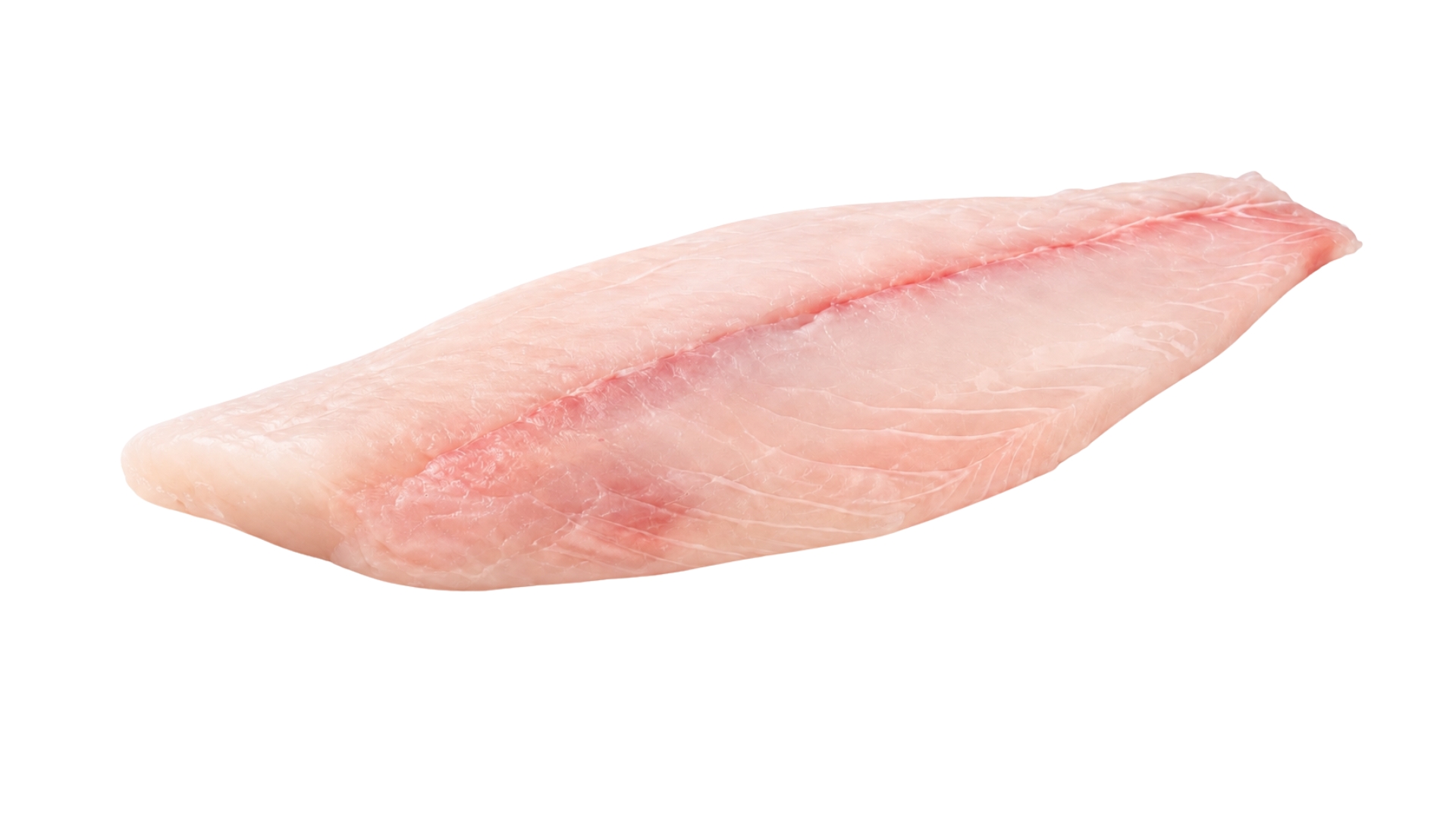 ShoreMariner_KingSnapperFillet