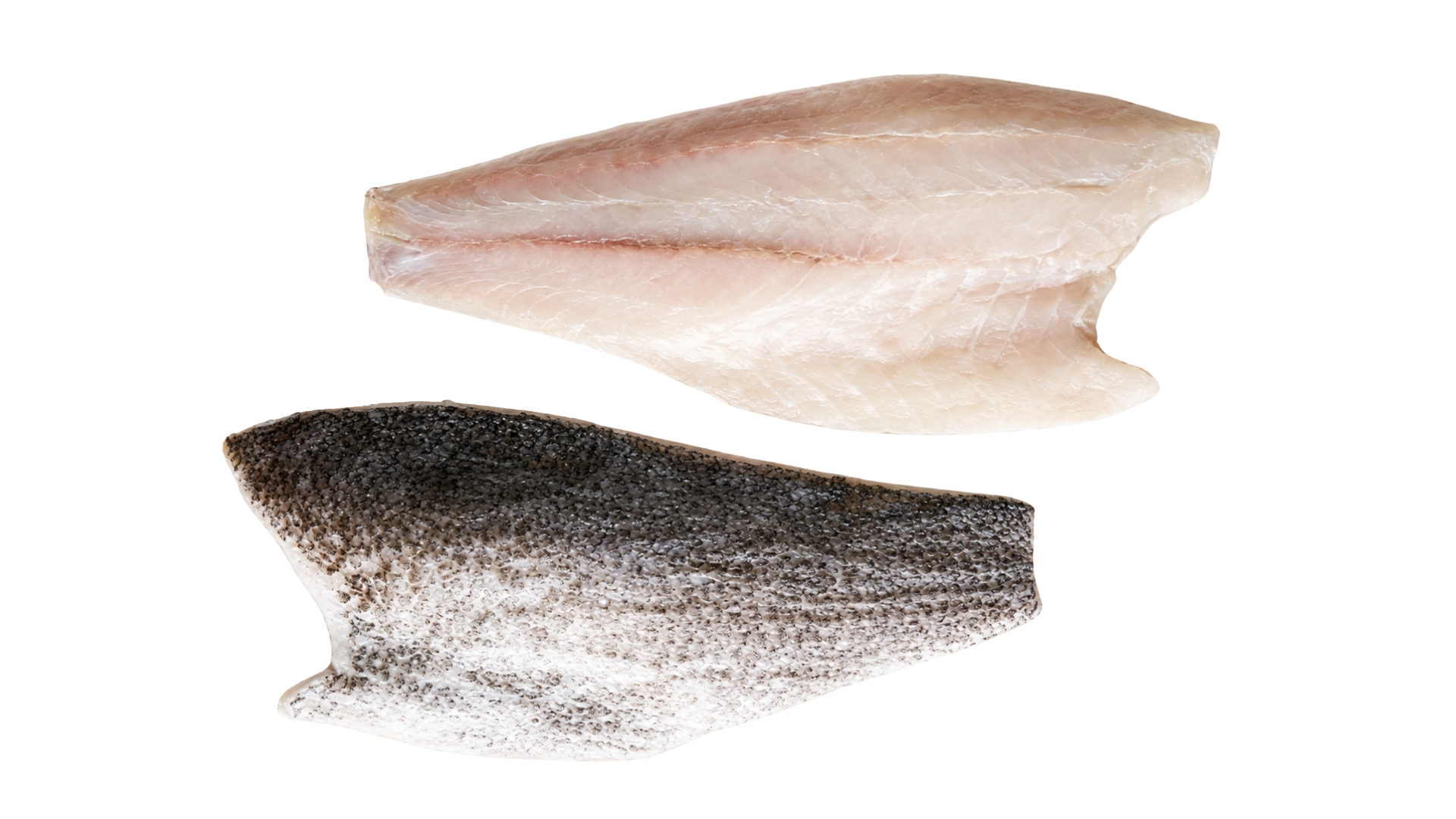 ShoreMariner_BarramundiFillets