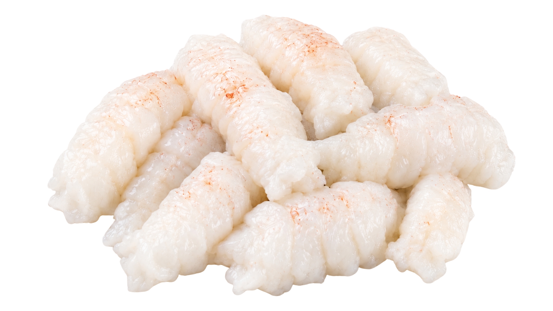 ShoreMariner_LobsterMeat
