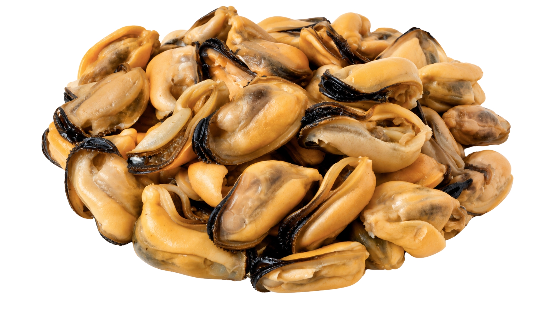 ShoreMariner_MusselMeat