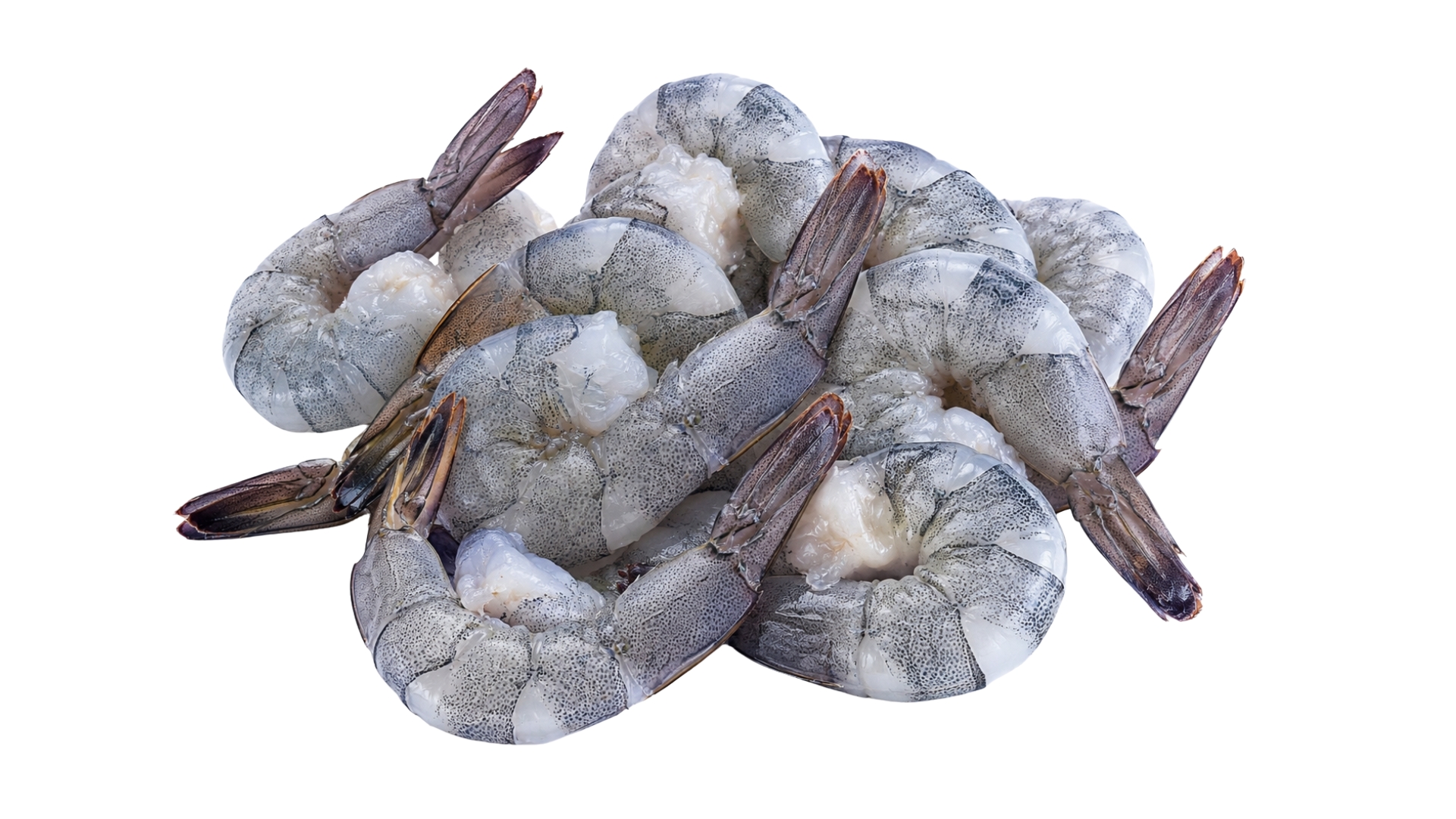 ShoreMariner_RawPrawnCutlet