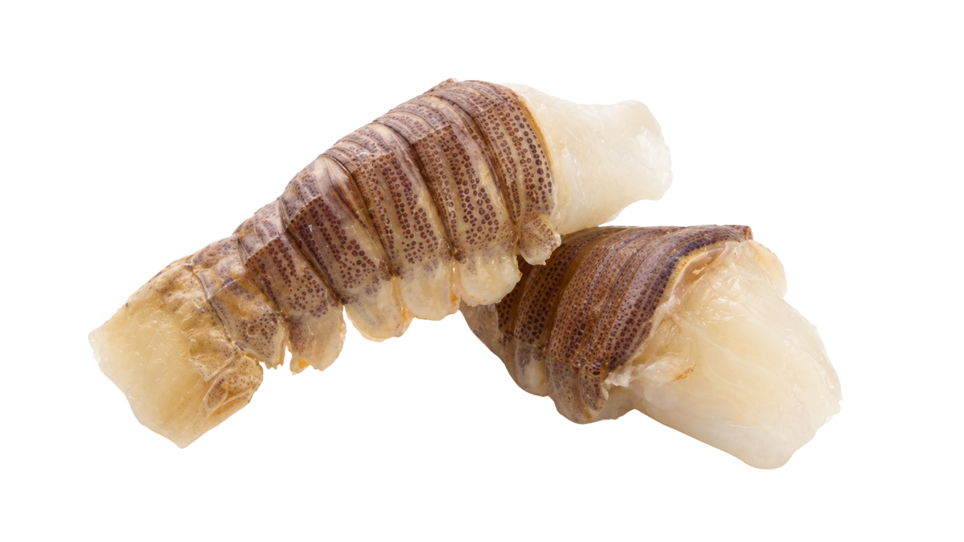 ShoreMariner_SlipperLobsterTails
