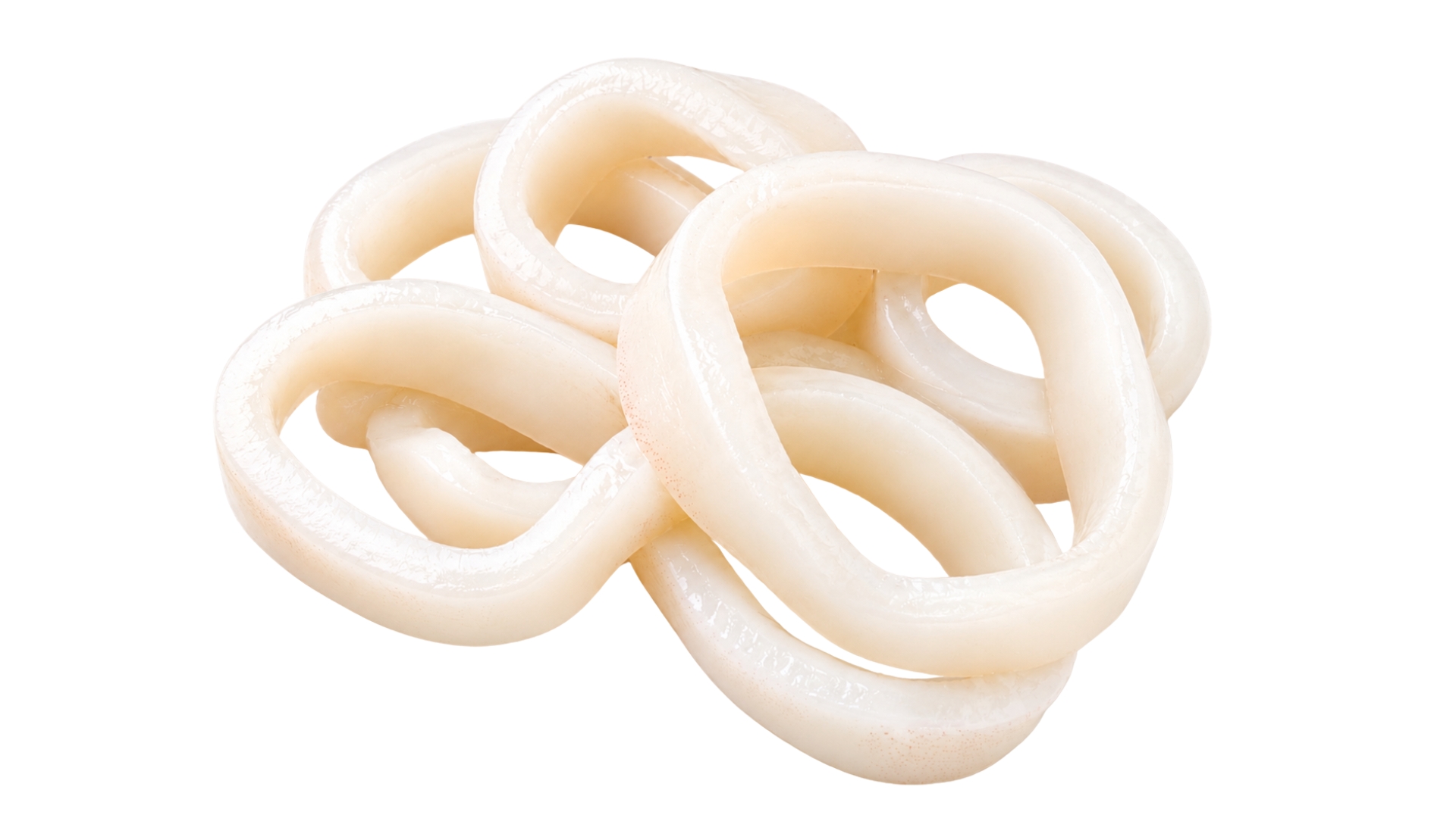 ShoreMariner_SquidRings