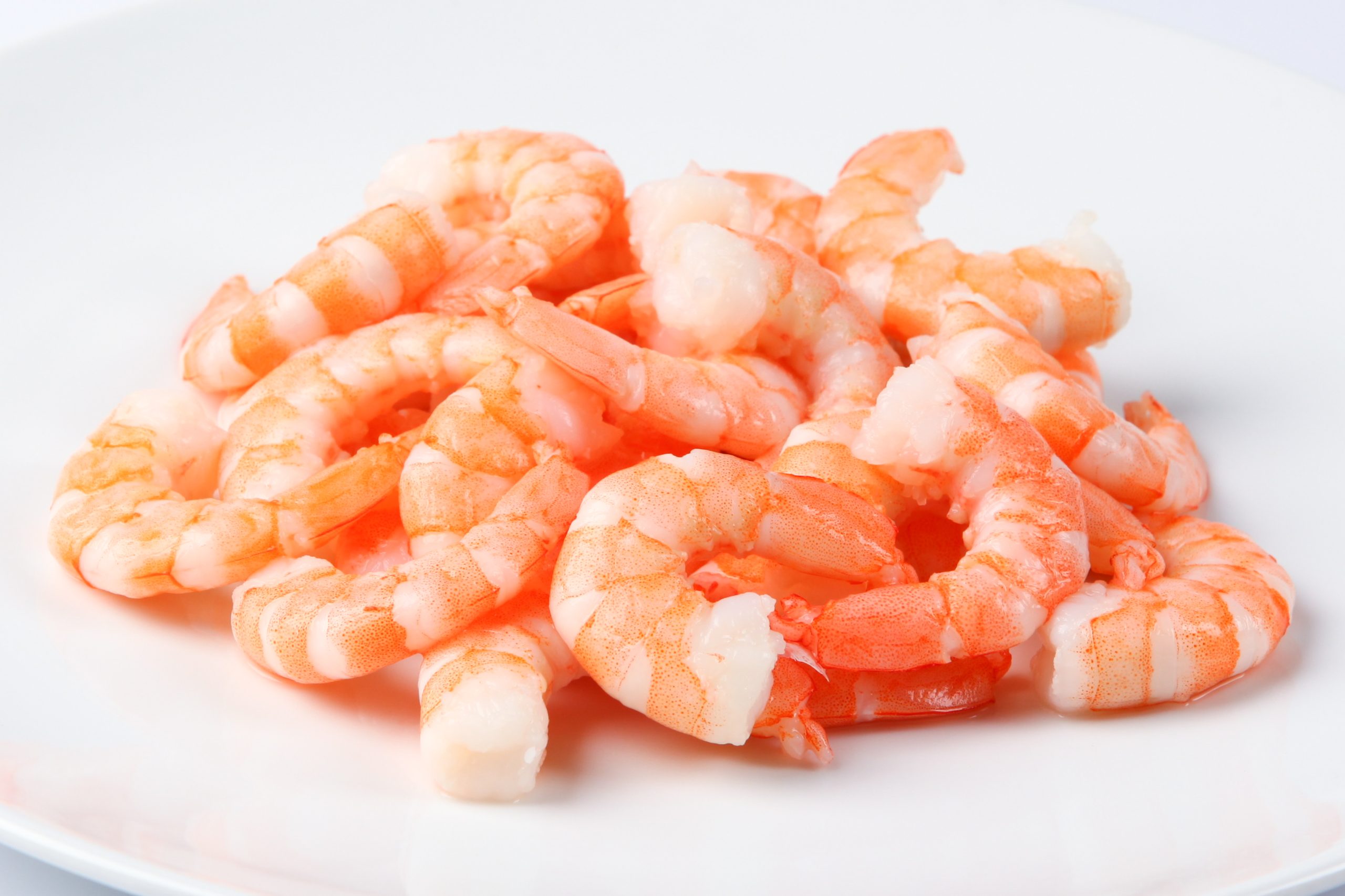 Cooked Prawns