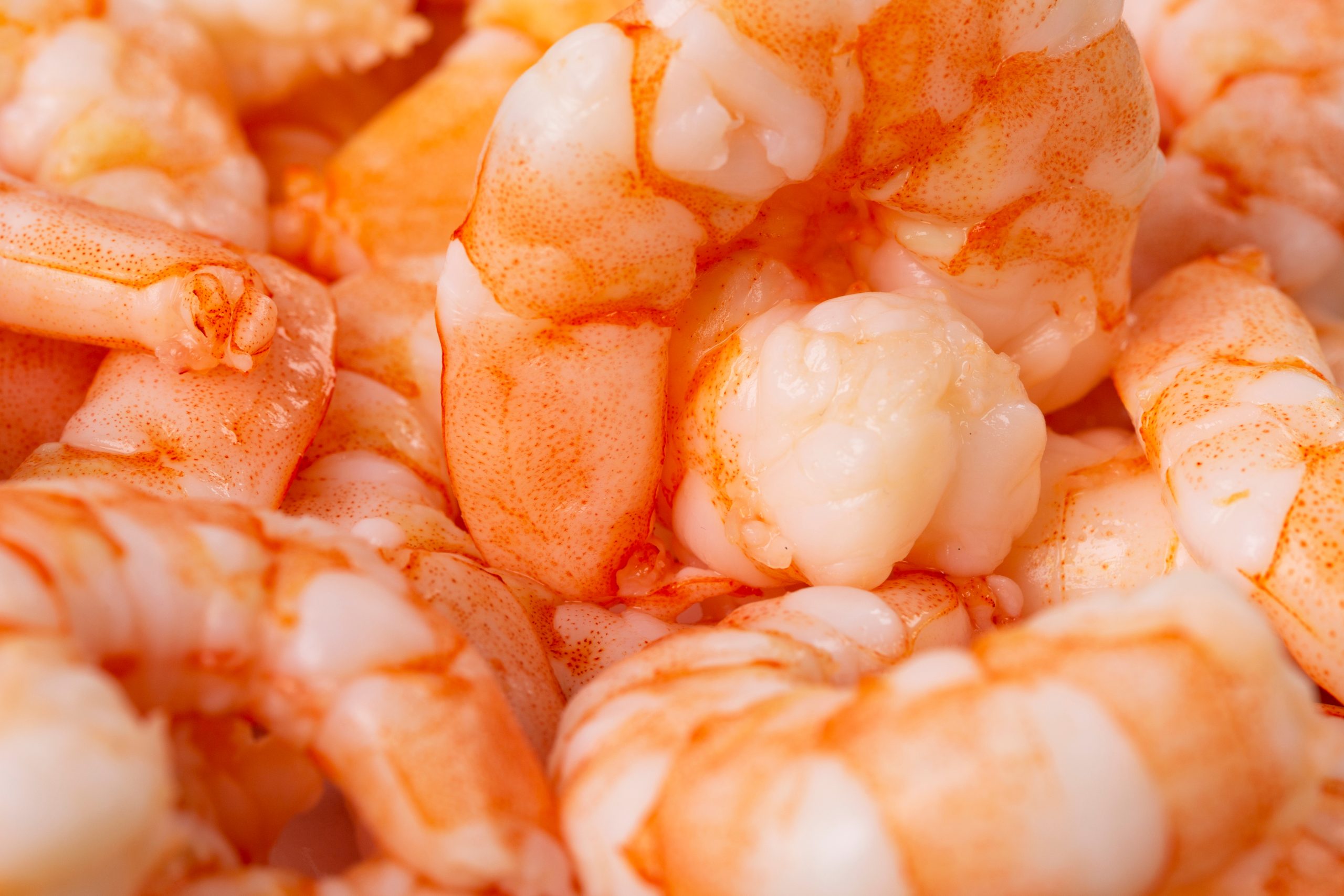 Cooked prawn meat