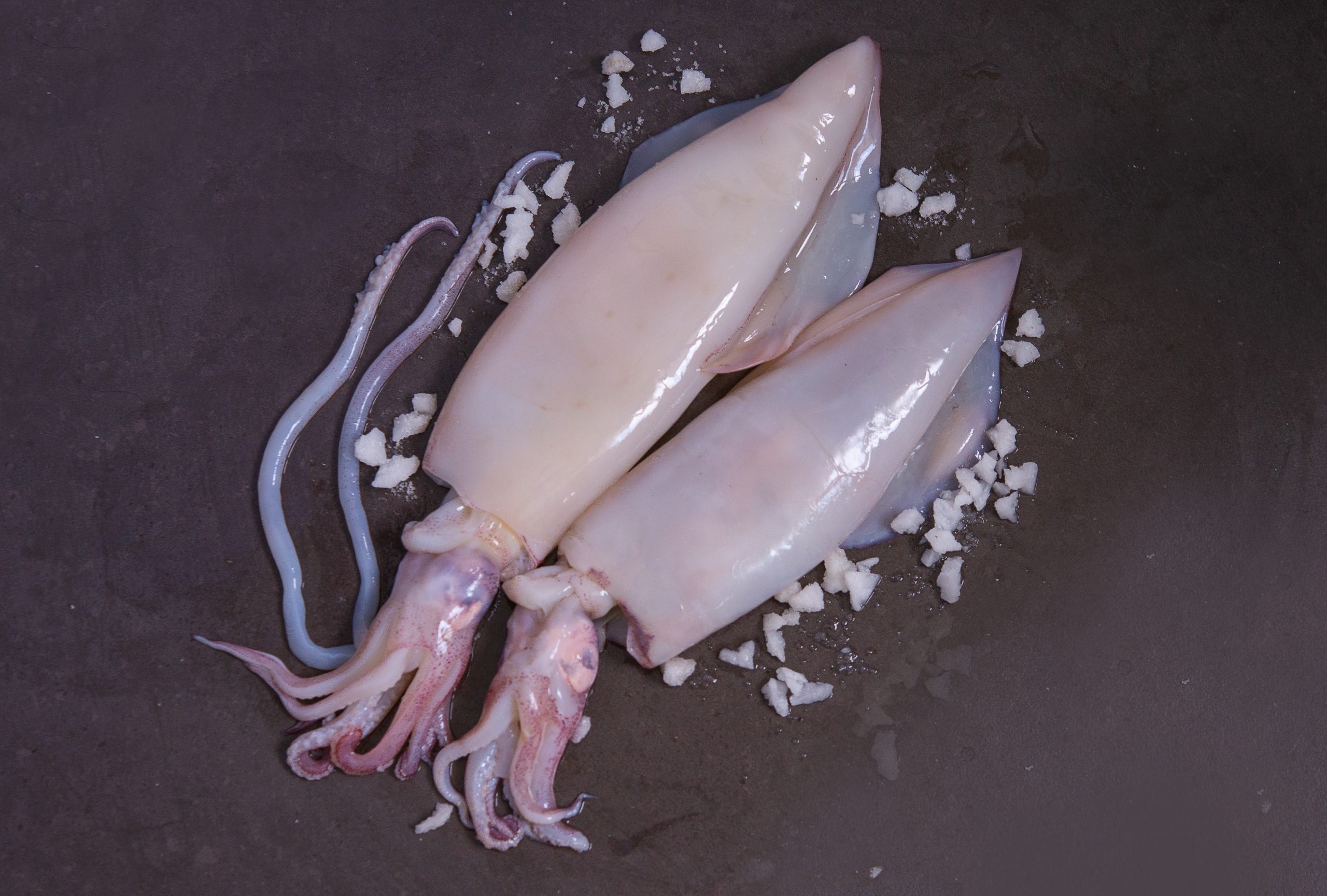 whole squid