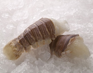 slipper lobster tails