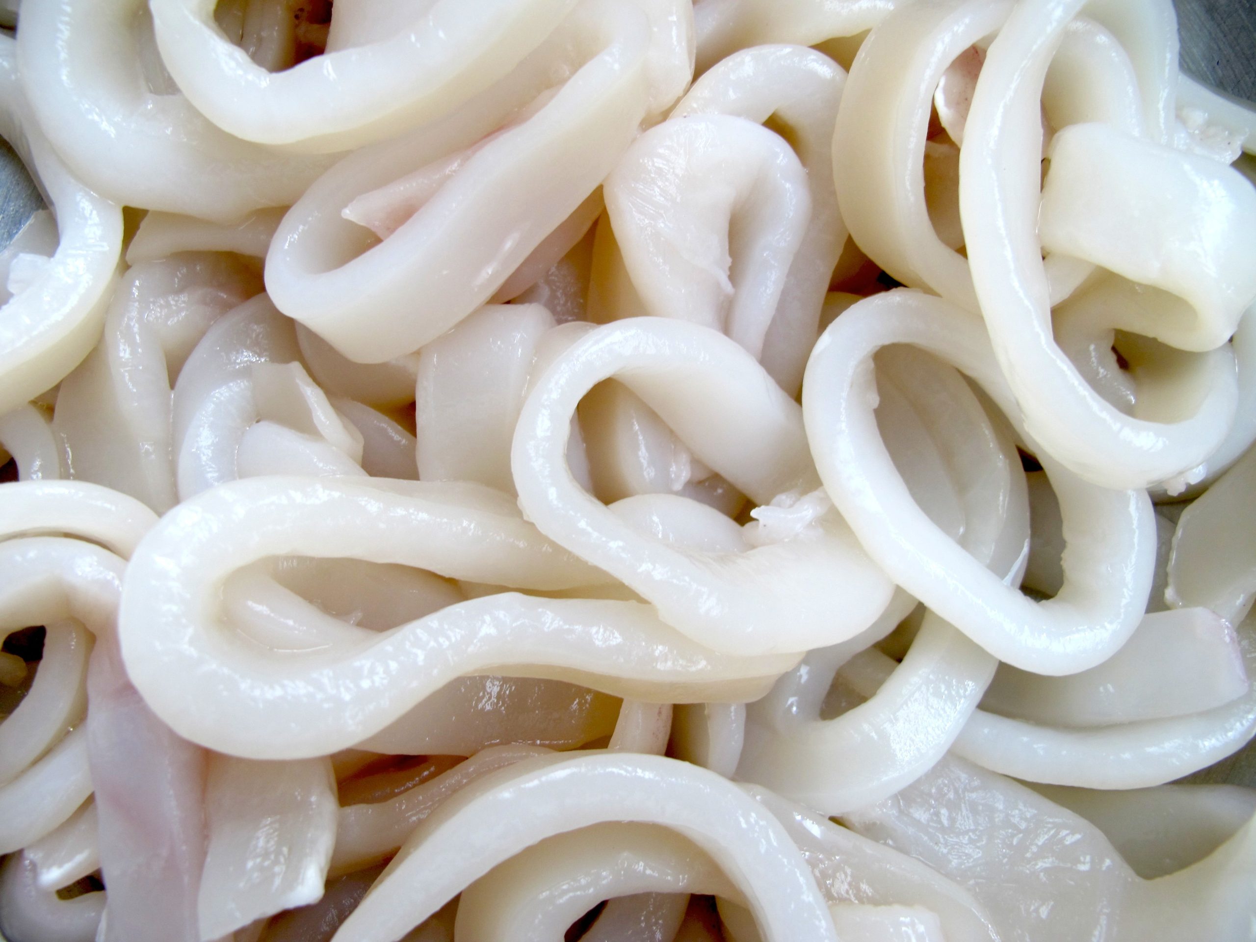 Raw squid rings