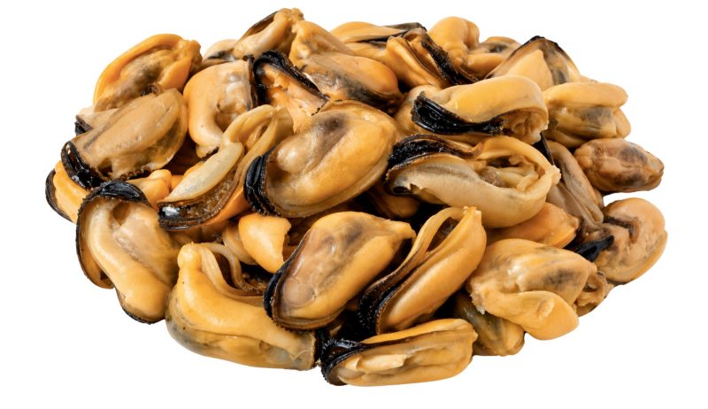 ShoreMariner_MusselMeat