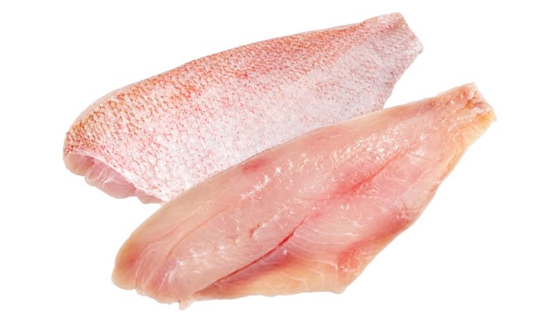 ShoreMariner_RedEmperorSkinFillet