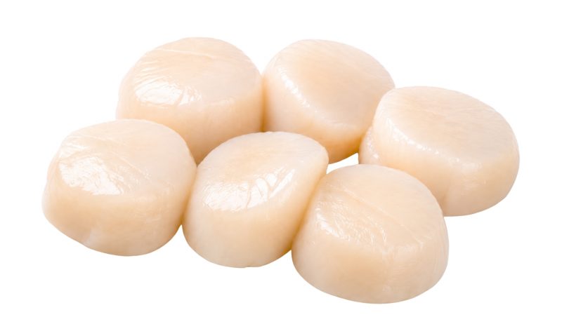 ShoreMariner_ScallopRoeOff