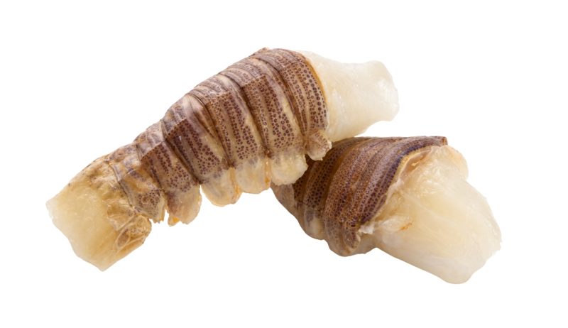 ShoreMariner_SlipperLobsterTails