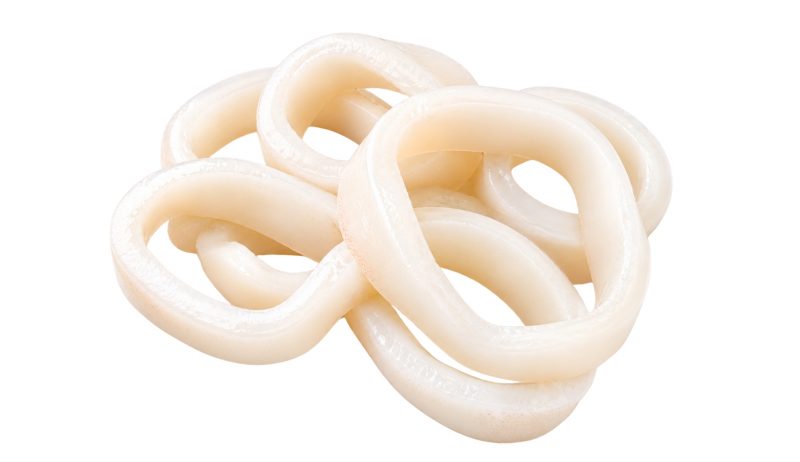 ShoreMariner_SquidRings