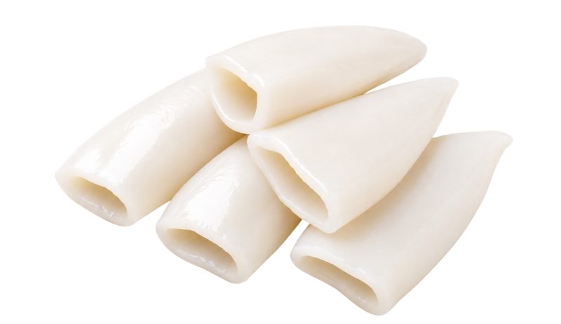 ShoreMariner_SquidTubes
