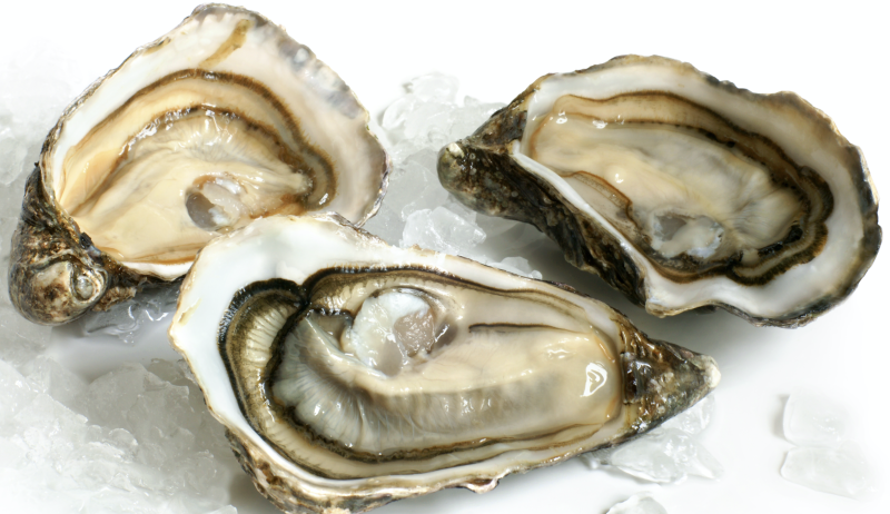 Half shell oysters