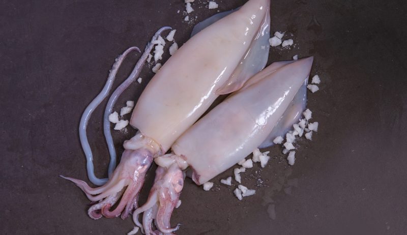 whole squid